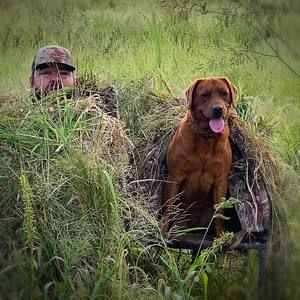 Meet your Posher, Bobby